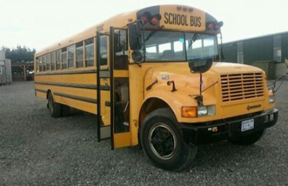 American School Bus